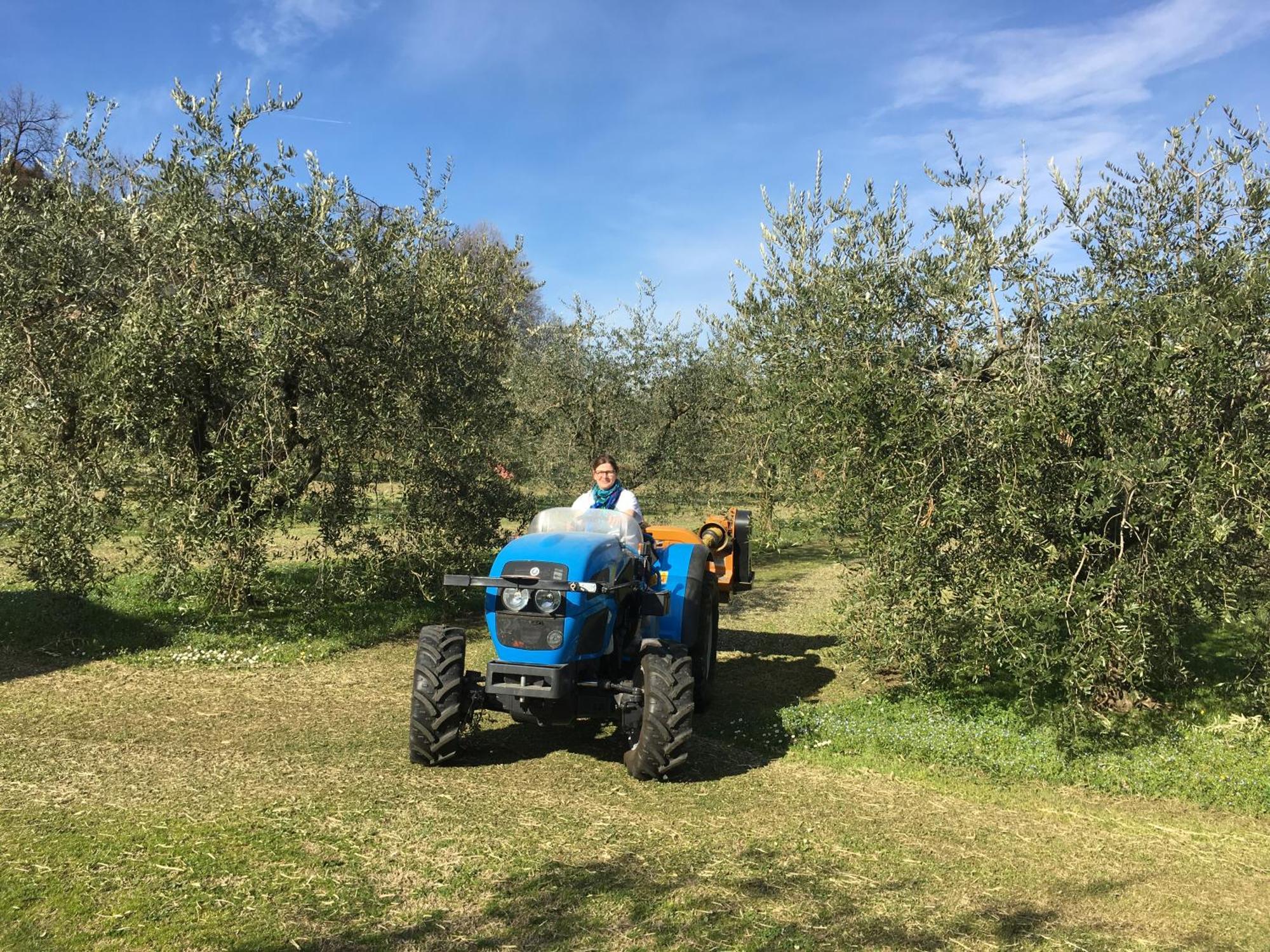 Agriturismo Nonna Bettina Moniga del Garda Exteriér fotografie