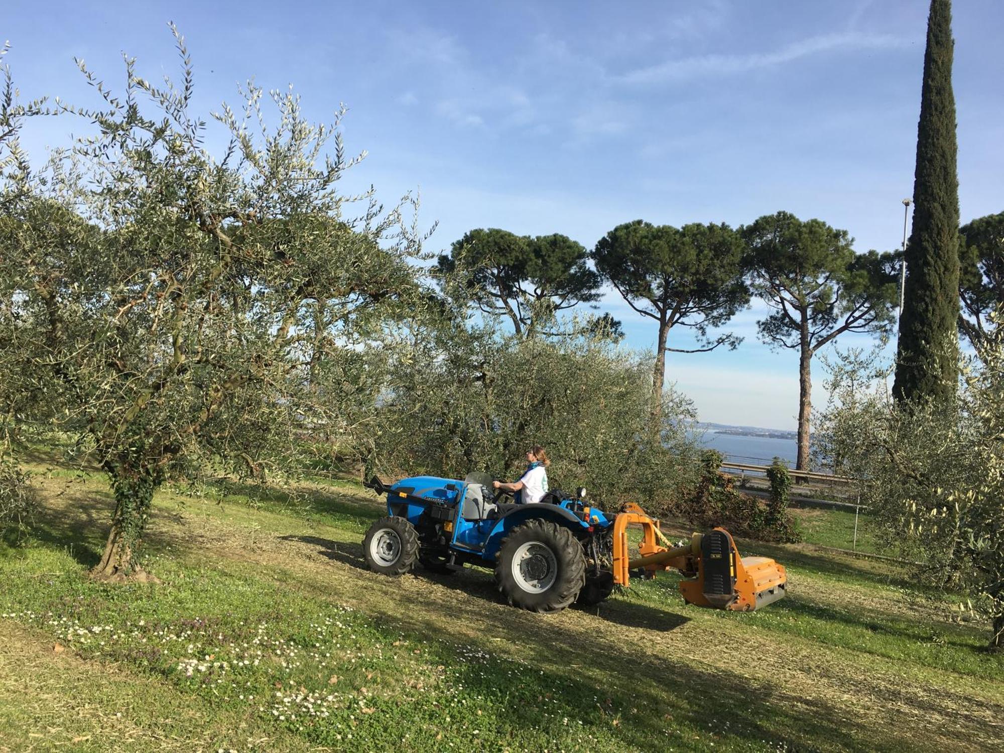 Agriturismo Nonna Bettina Moniga del Garda Exteriér fotografie