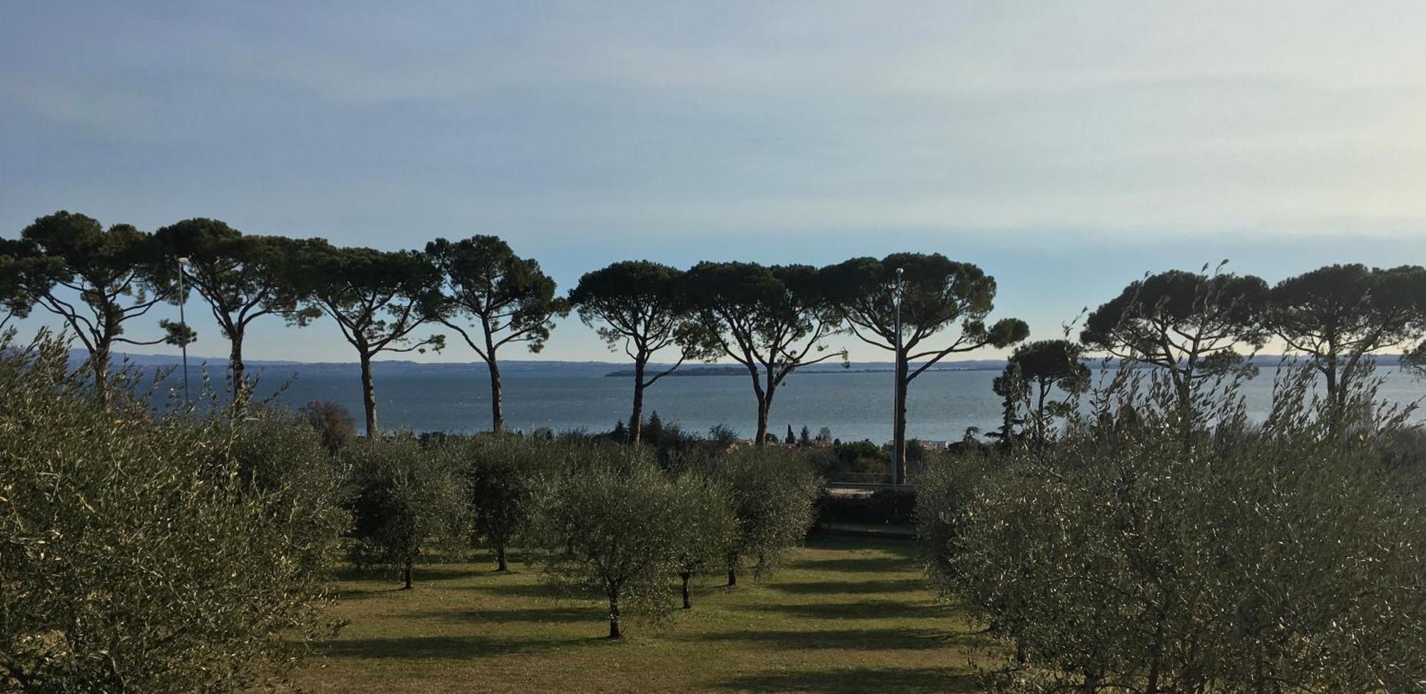 Agriturismo Nonna Bettina Moniga del Garda Exteriér fotografie