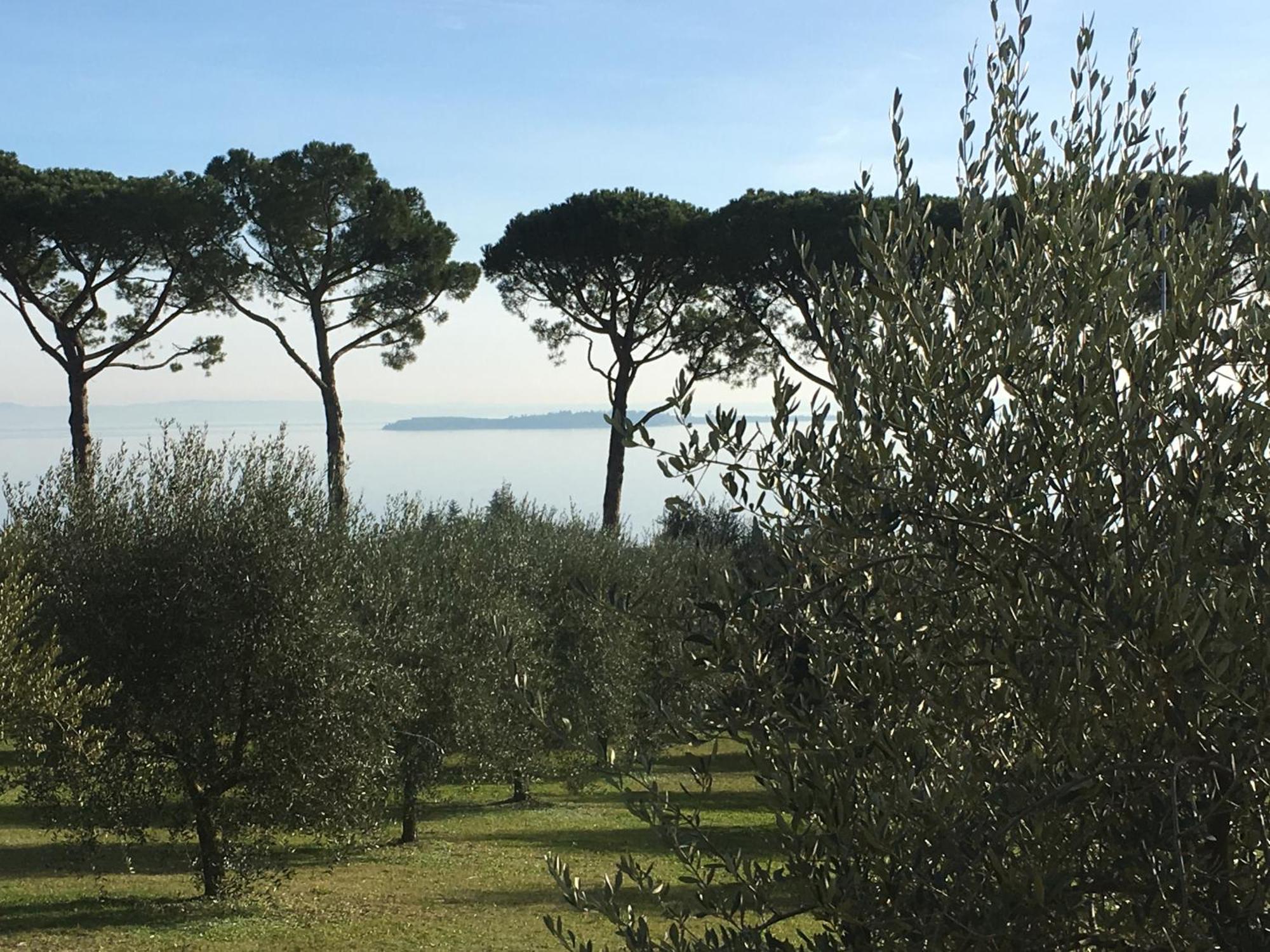 Agriturismo Nonna Bettina Moniga del Garda Exteriér fotografie